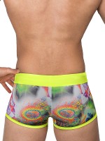 Eros Veneziani Disco: Push-Up Badepant, bunt