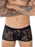 Eros Veneziani Edoardo: Push-up Boxer, schwarz